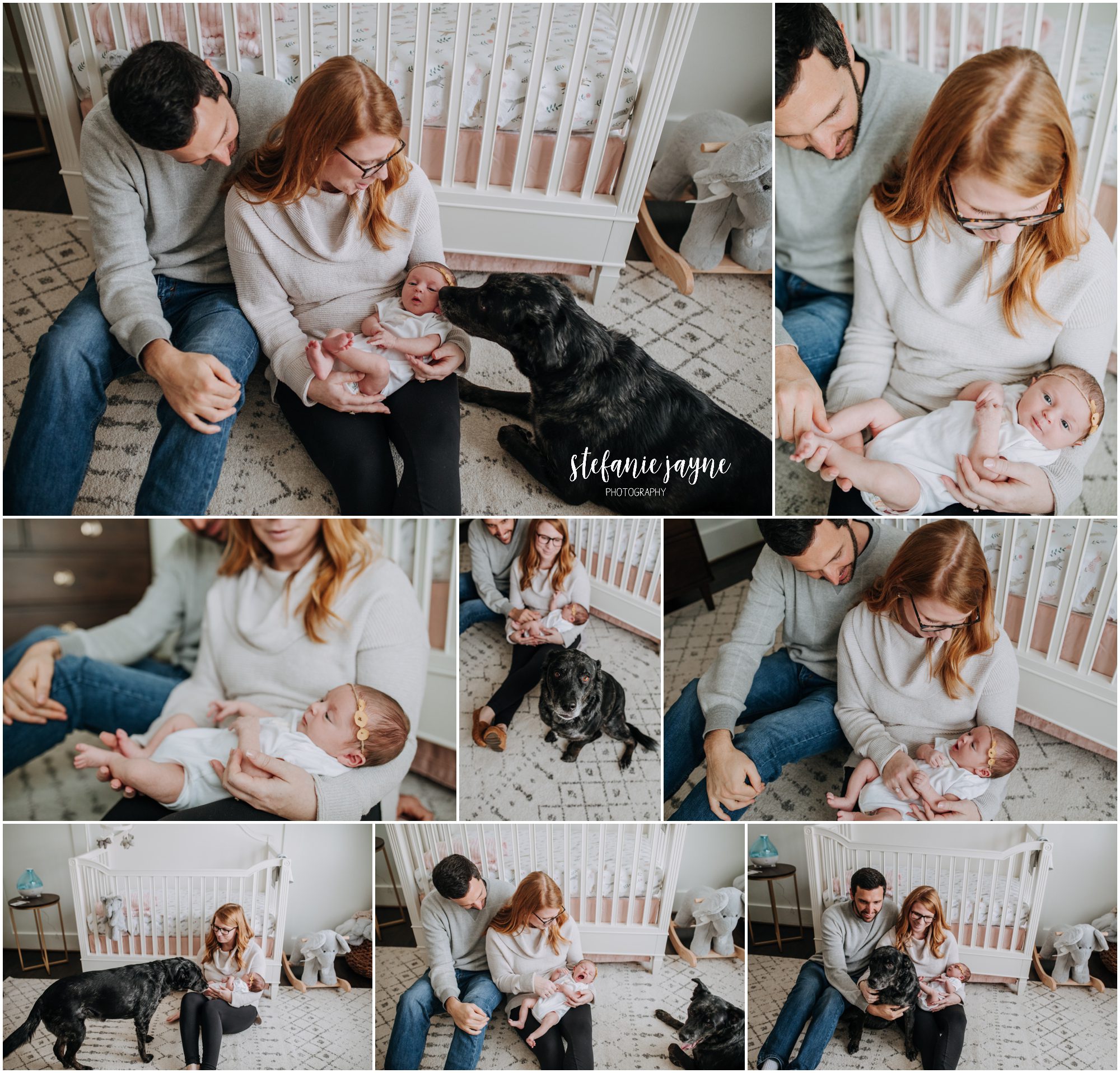 in-home baby and dog photographer Johns Creek